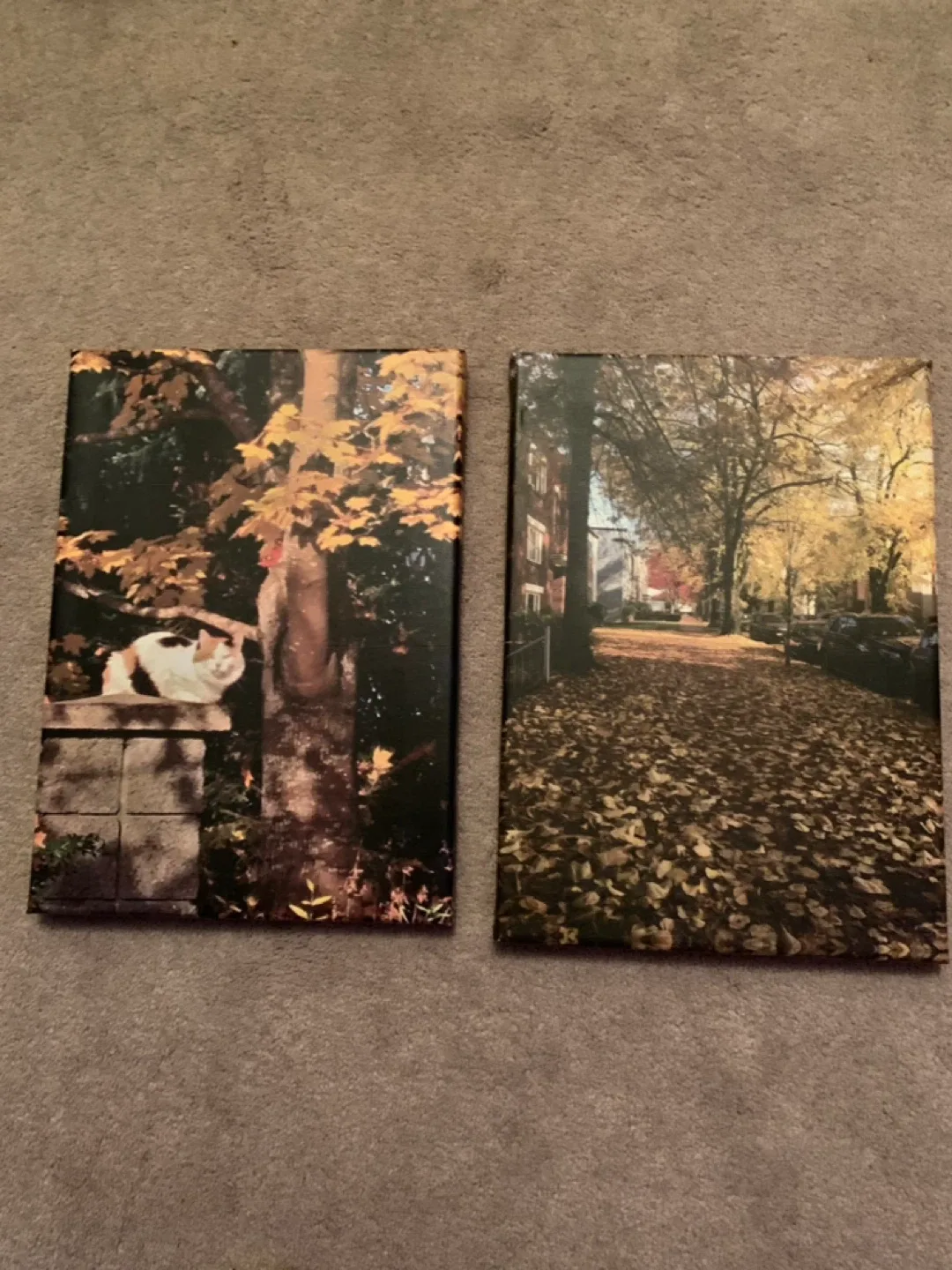 Canvas Wall Art Prints