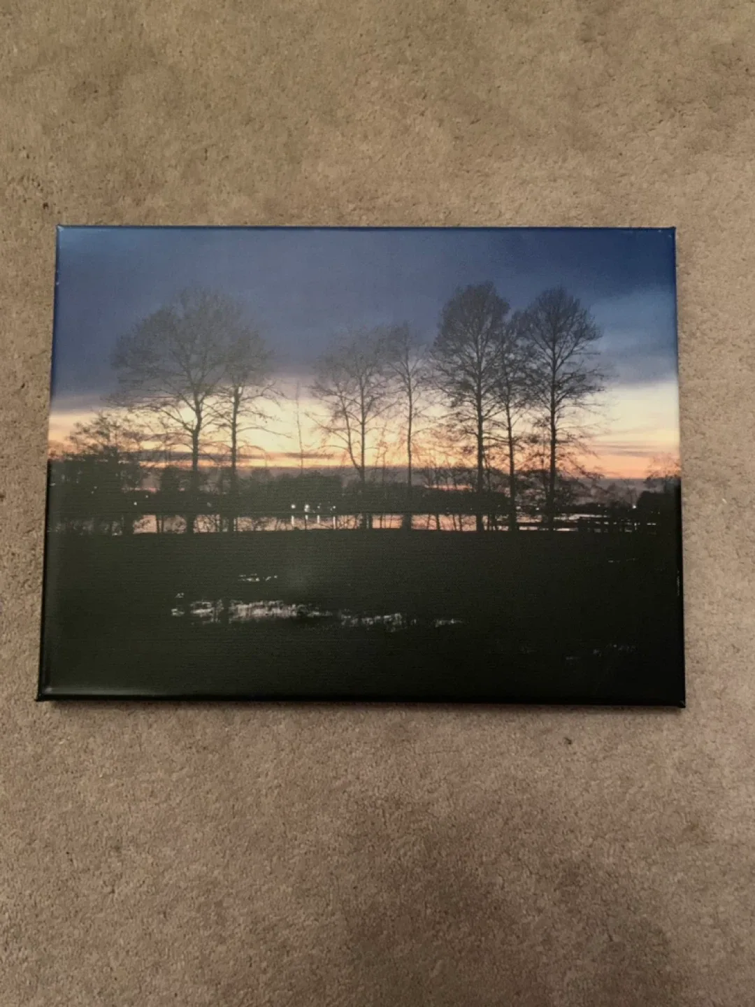 Canvas Wall Art Prints image indicator(4)