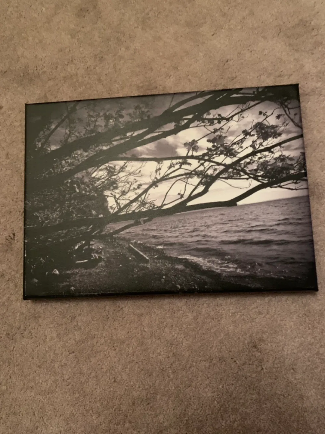 Canvas Wall Art Prints image indicator(7)