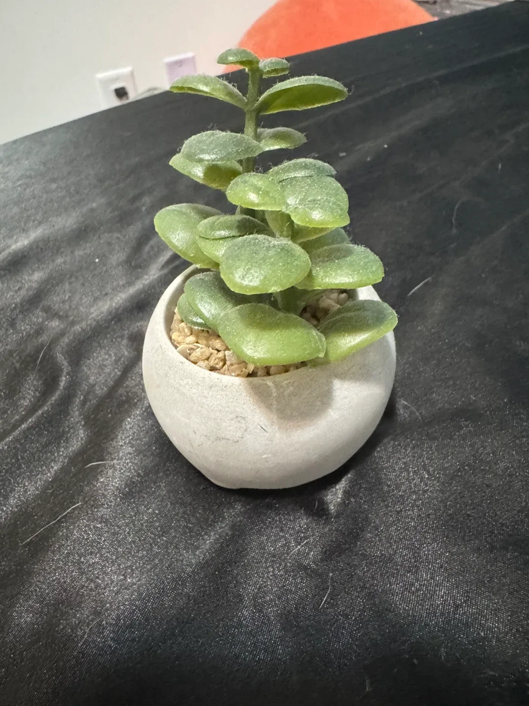 Assorted home decor image indicator(2)