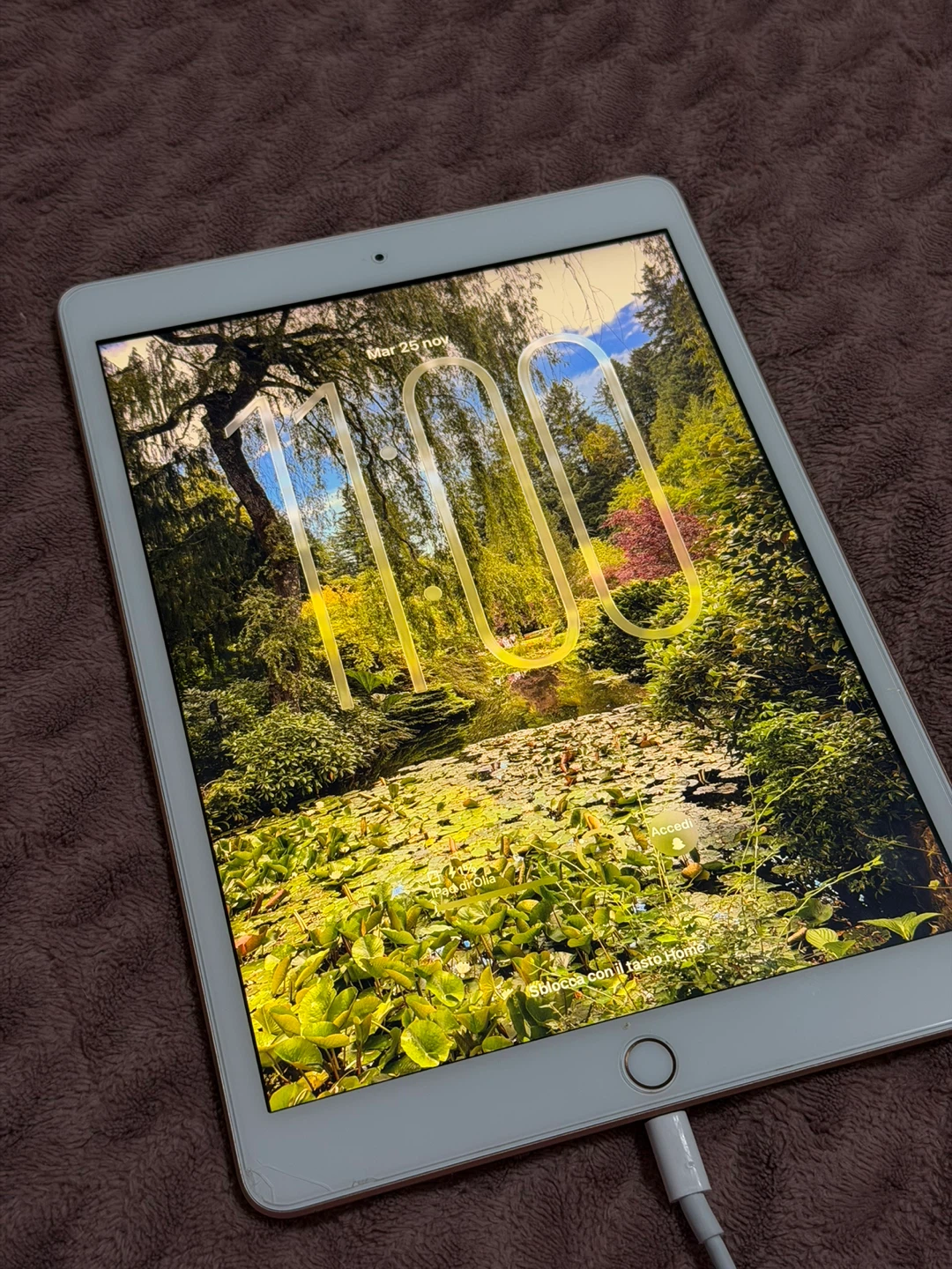 iPad 10.2” 8th Gen 128GB + Apple Store Slim Folio - photo 5
