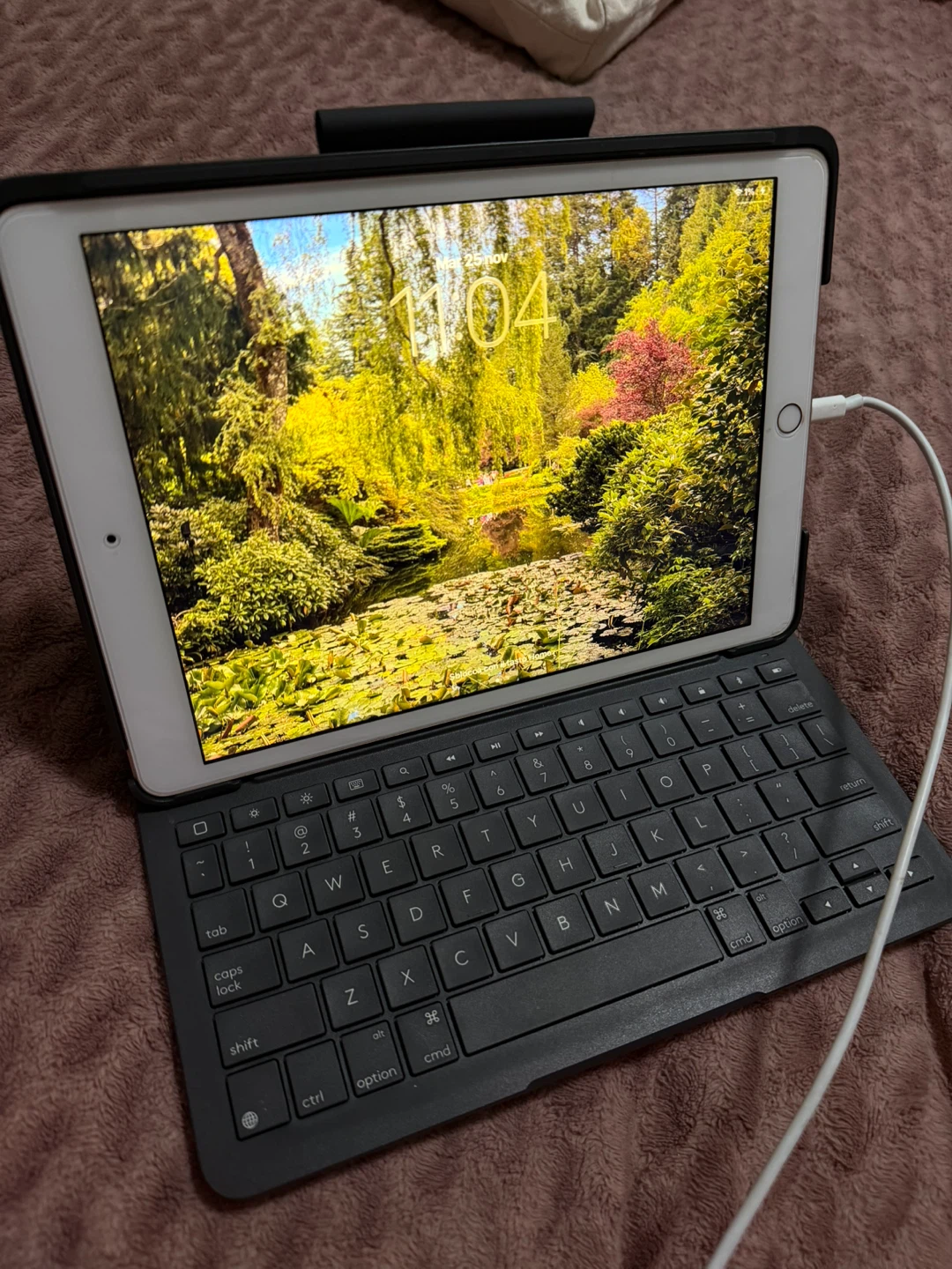 iPad 10.2” 8th Gen 128GB + Apple Store Slim Folio