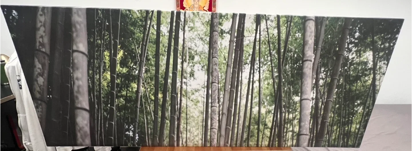 Large Bamboo Forest Canvas Wall Art image indicator(2)