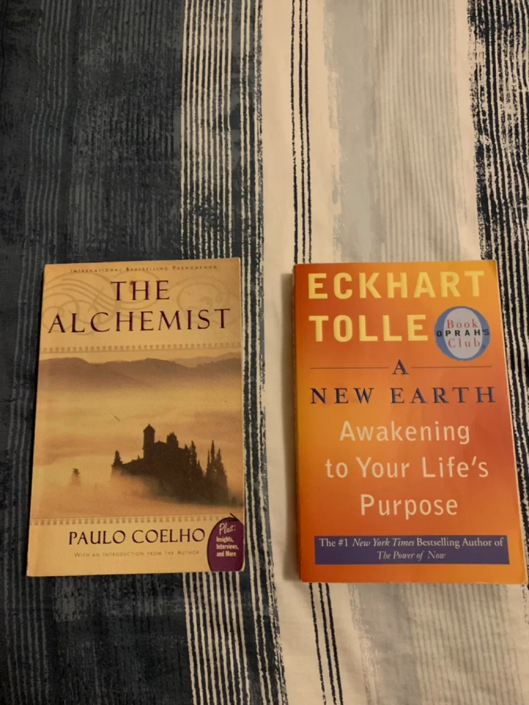 The Alchemist & A New Earth Books