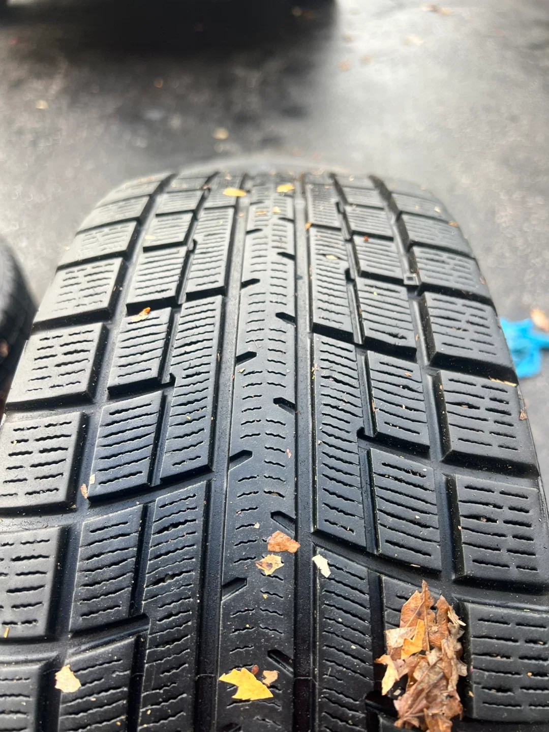 Yokohama 205/55R16 Winter Tires on Steel Rims - Set of 4 image indicator(4)