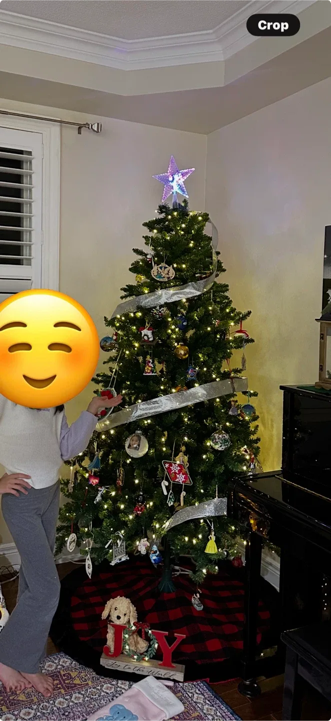 Gluckstein Green River Spruce Pre-Lit 7ft Tree image indicator(5)