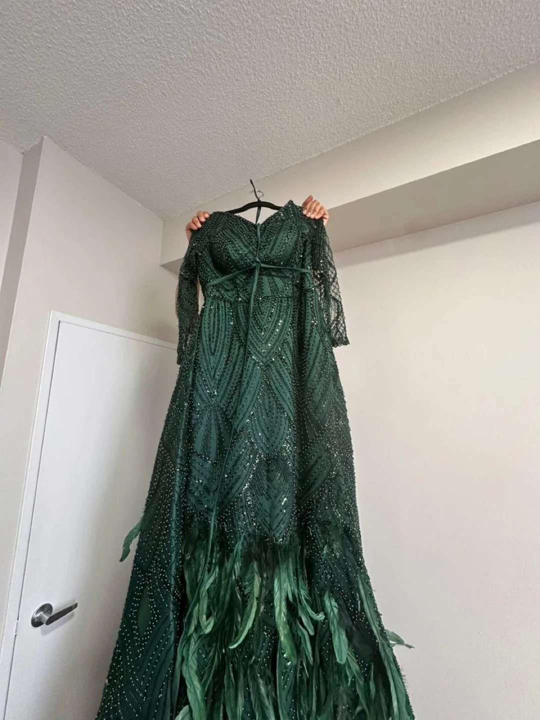 Green Feathered Evening Gown image indicator(3)