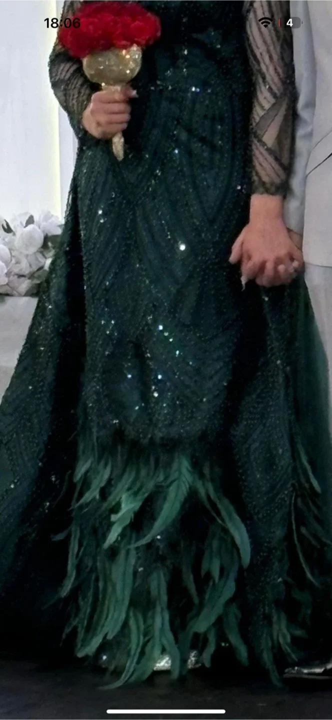 Green Feathered Evening Gown image indicator(7)