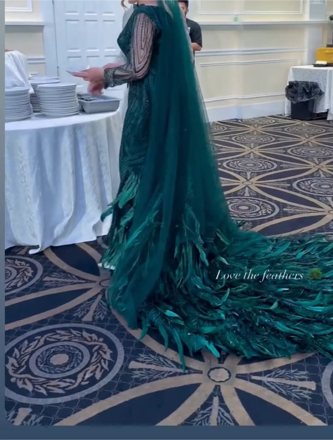 Green Feathered Evening Gown image indicator(8)