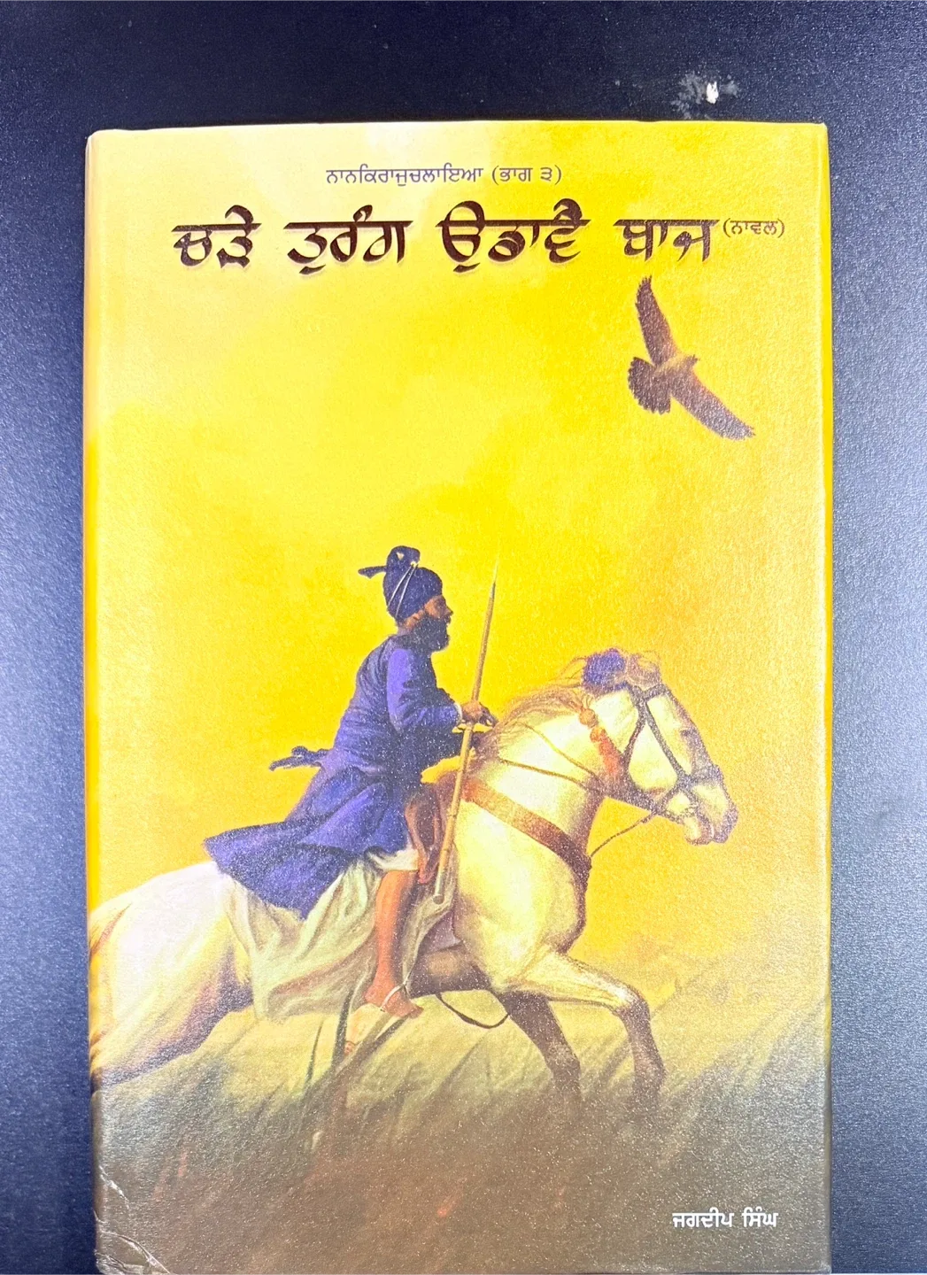 Punjabi Book: ਚੜੈ ਤੁਰੰਗ ਉਡਾਵੈ ਬਾਜ