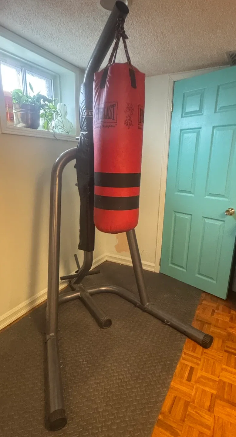 Everlast Punching Bag with Stand