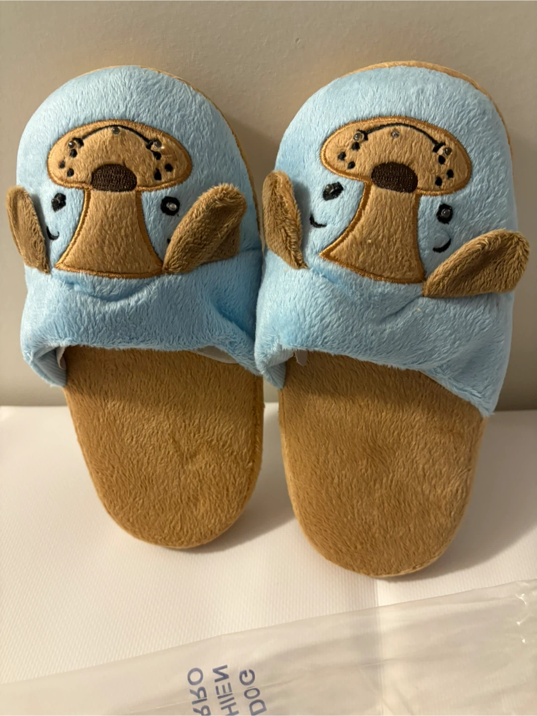Blinky Buddies slippers - Dog