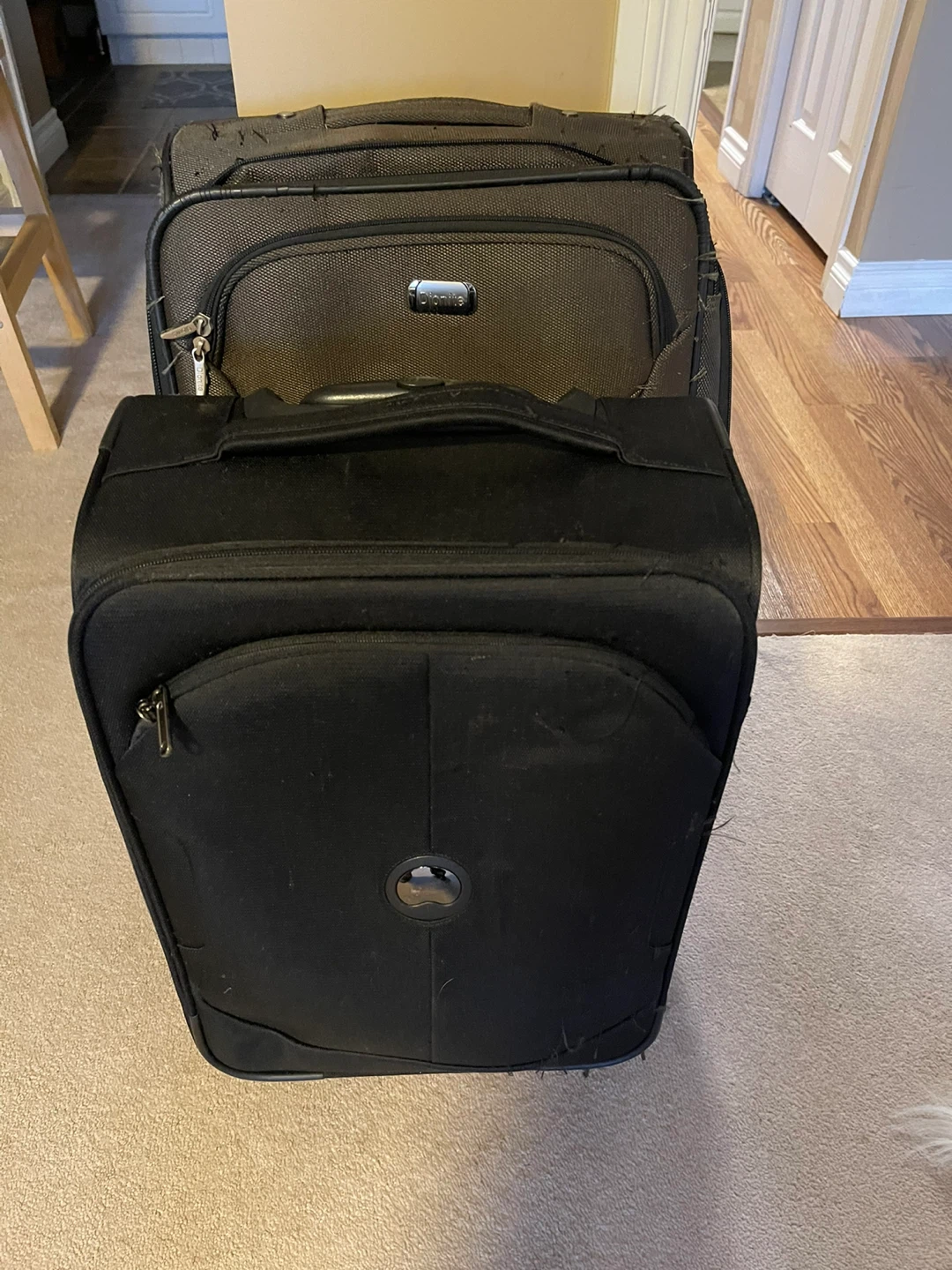 Delsey & Ricardo Luggage Set