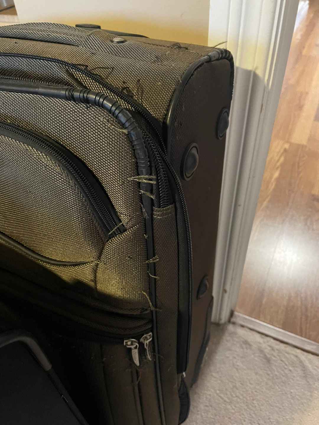 Delsey & Ricardo Luggage Set - photo 3