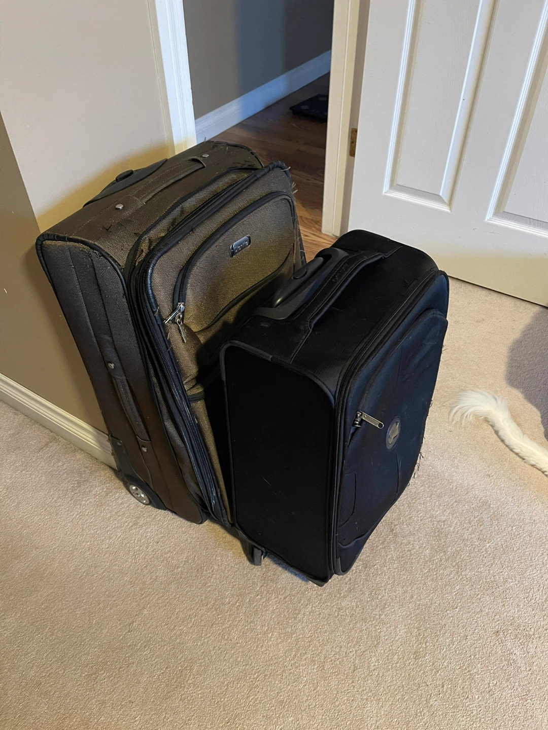 Delsey & Ricardo Luggage Set - photo 2