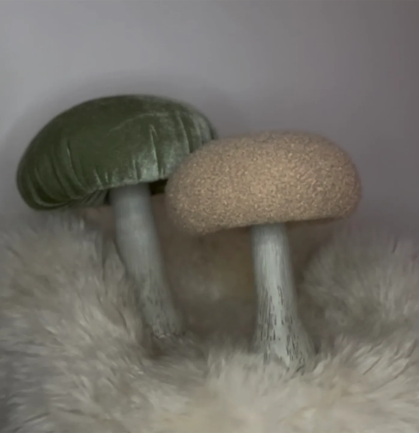 Ornamental Mushrooms