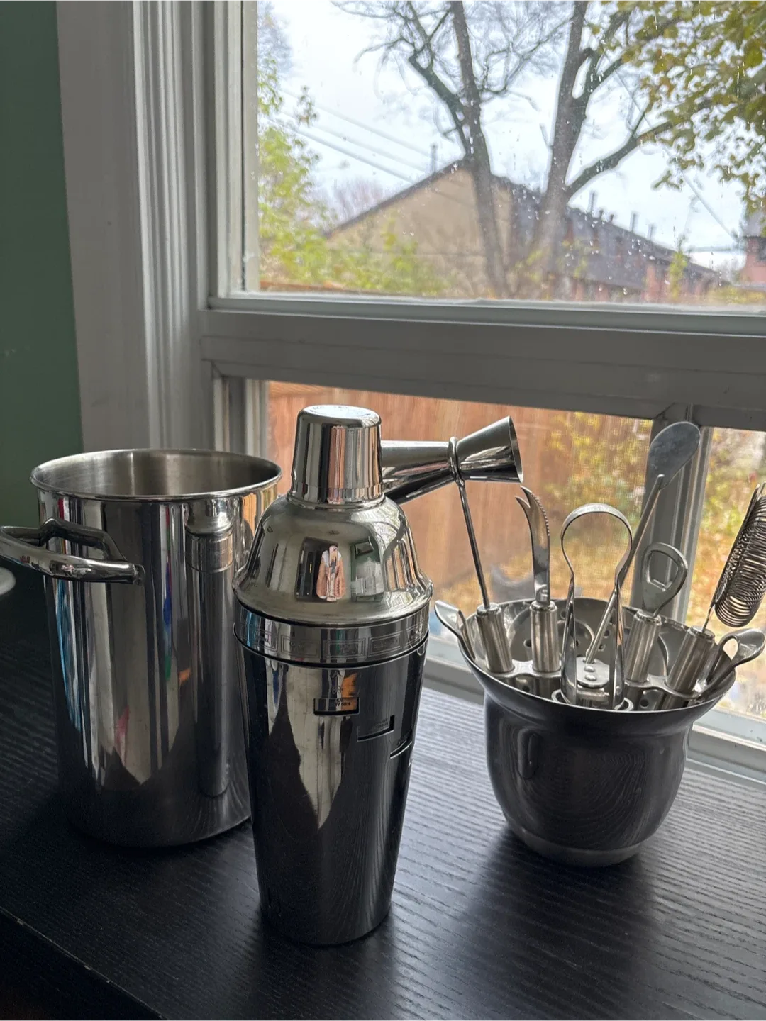 Stainless Steel Cocktail Shaker Set