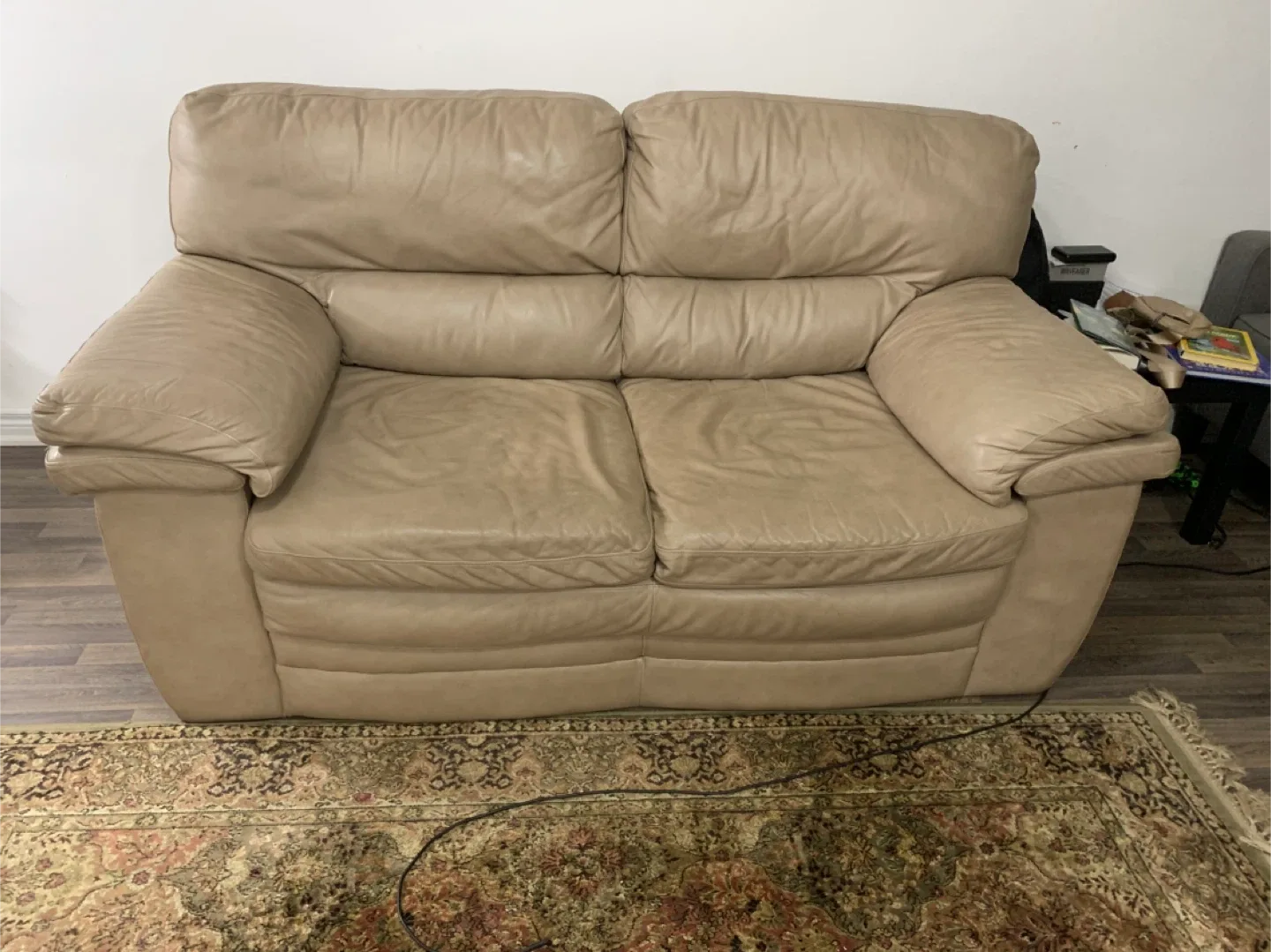 Beige Loveseat Sofa