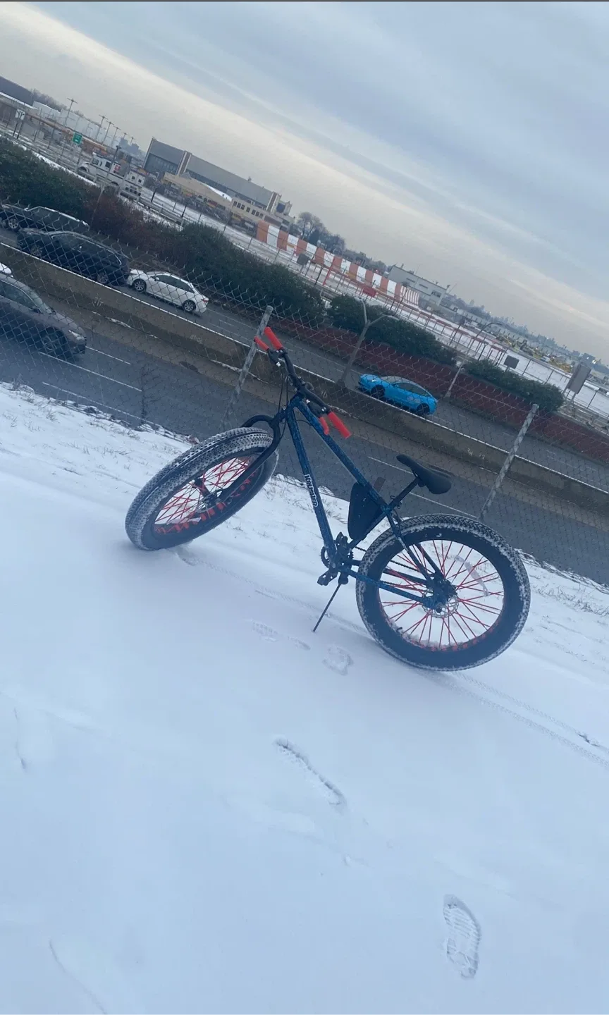 Mongoose Fat Tire Bike image indicator(8)