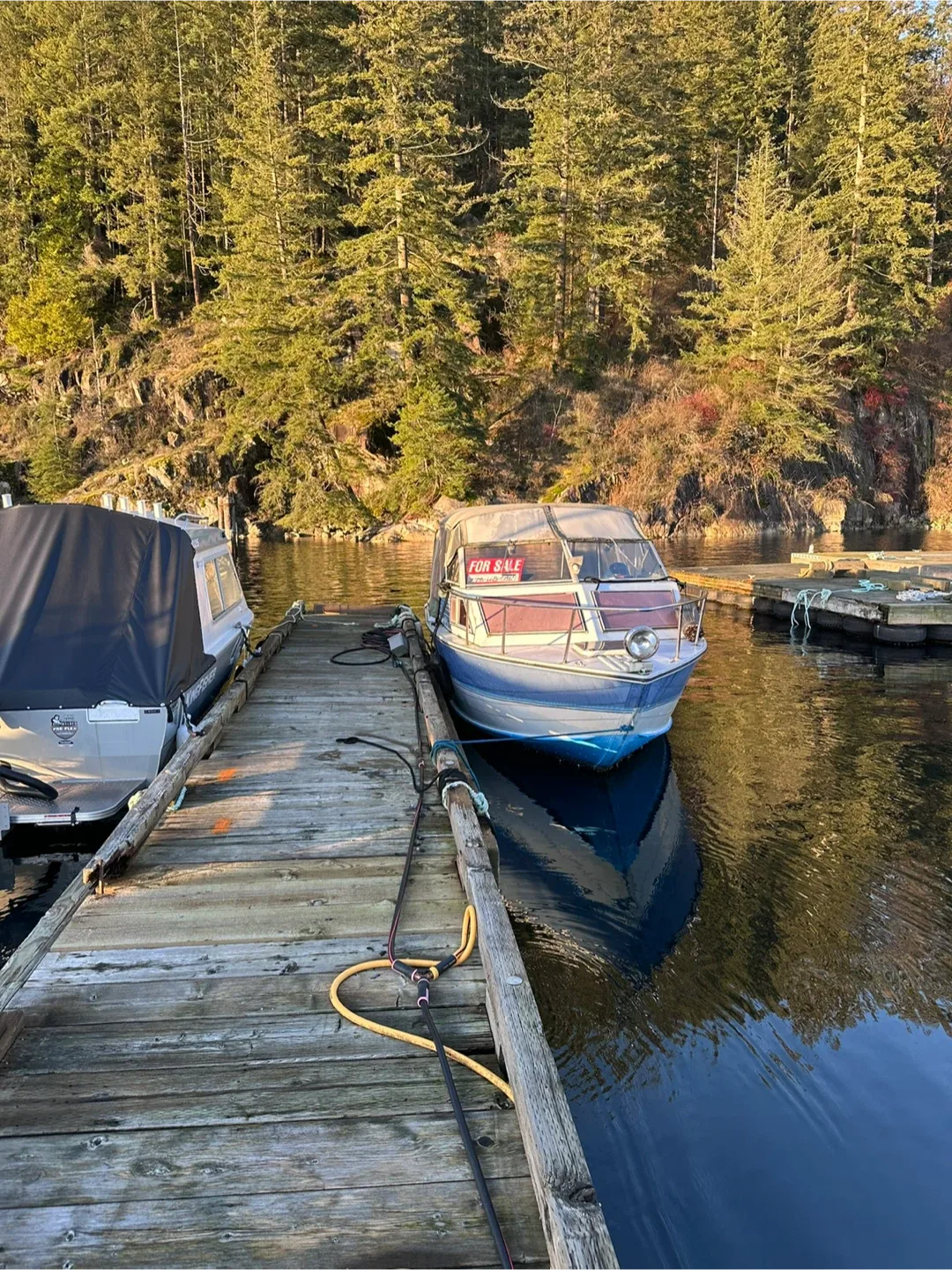 1993 Princecraft Corsica with new 150 hp Yamaha Motor image indicator(3)