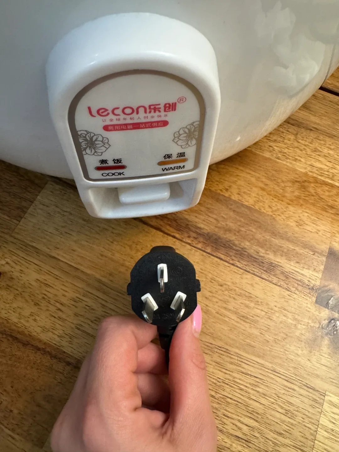 Large Rice Cooker - 5.6 L/30 cup Capacity image indicator(4)