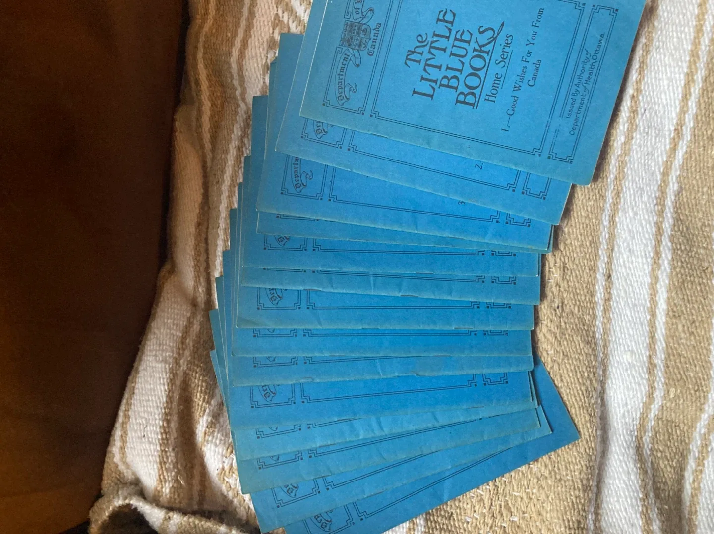 The Little Blue Books Home Series image indicator(2)