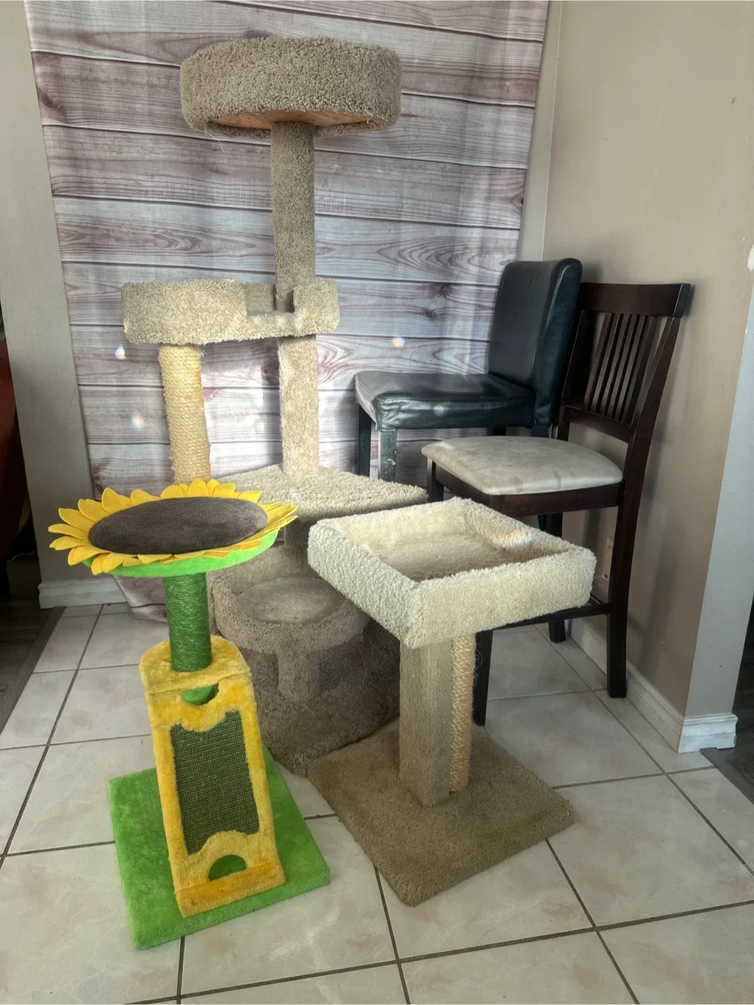 Cat Tree & Scratching Post