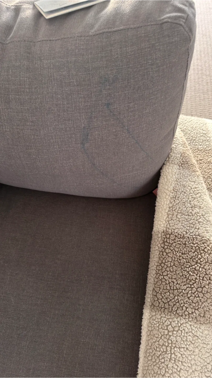 Grey Sectional Sofa - Some Stains image indicator(2)