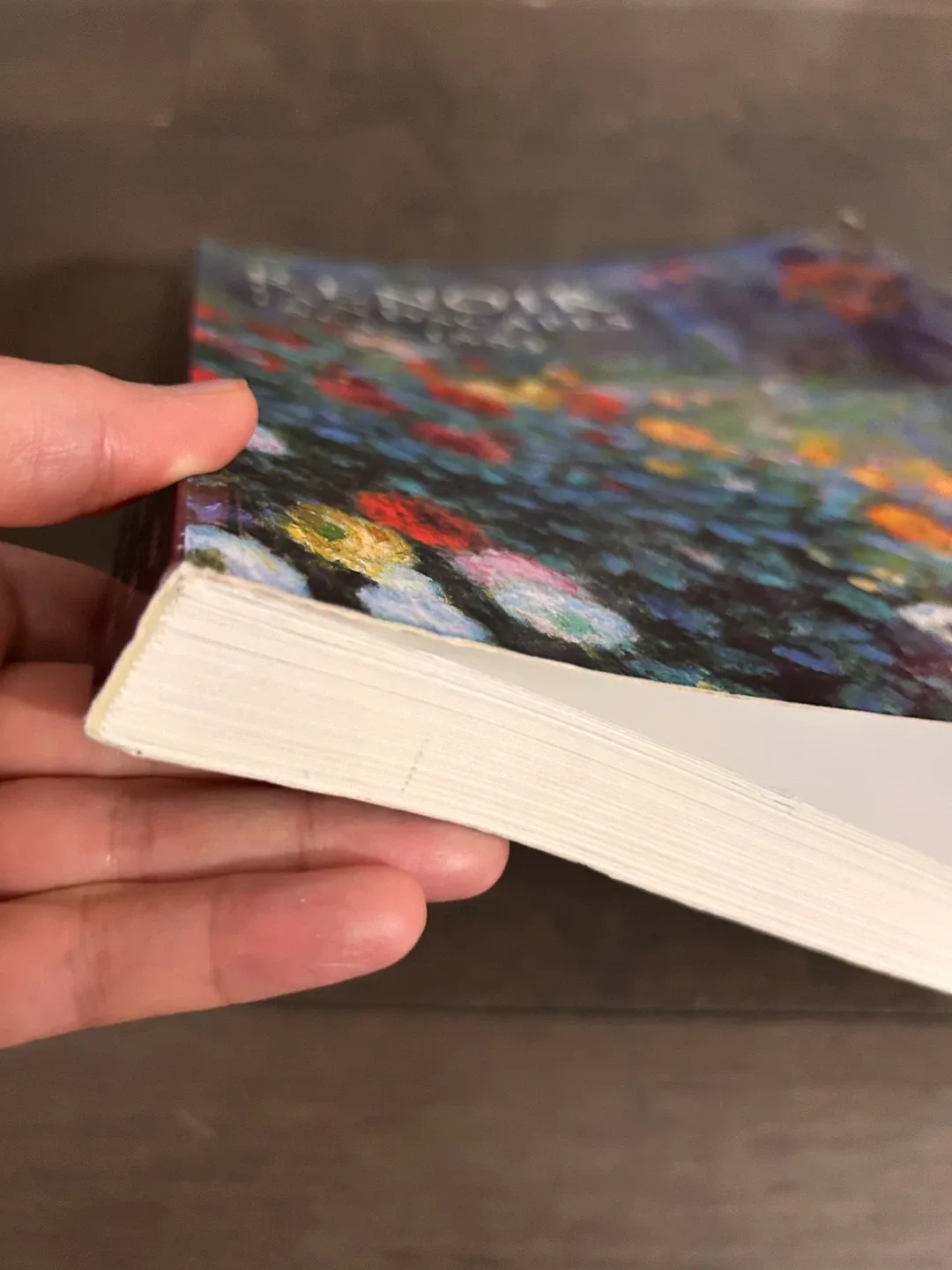 Renoir Landscapes Art Book 1865-1883 image indicator(3)