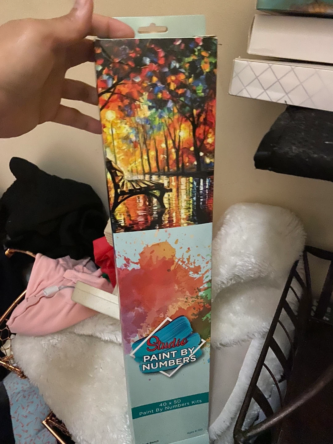 Studio Paint By Numbers Kit 40 x 50