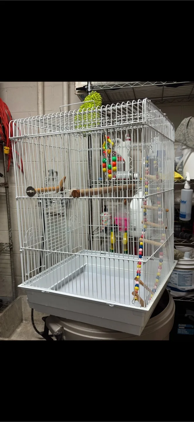 Bird Cage image indicator(2)