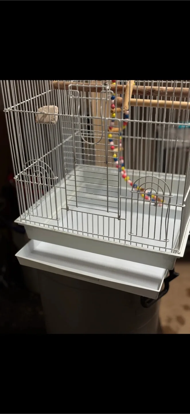 Bird Cage