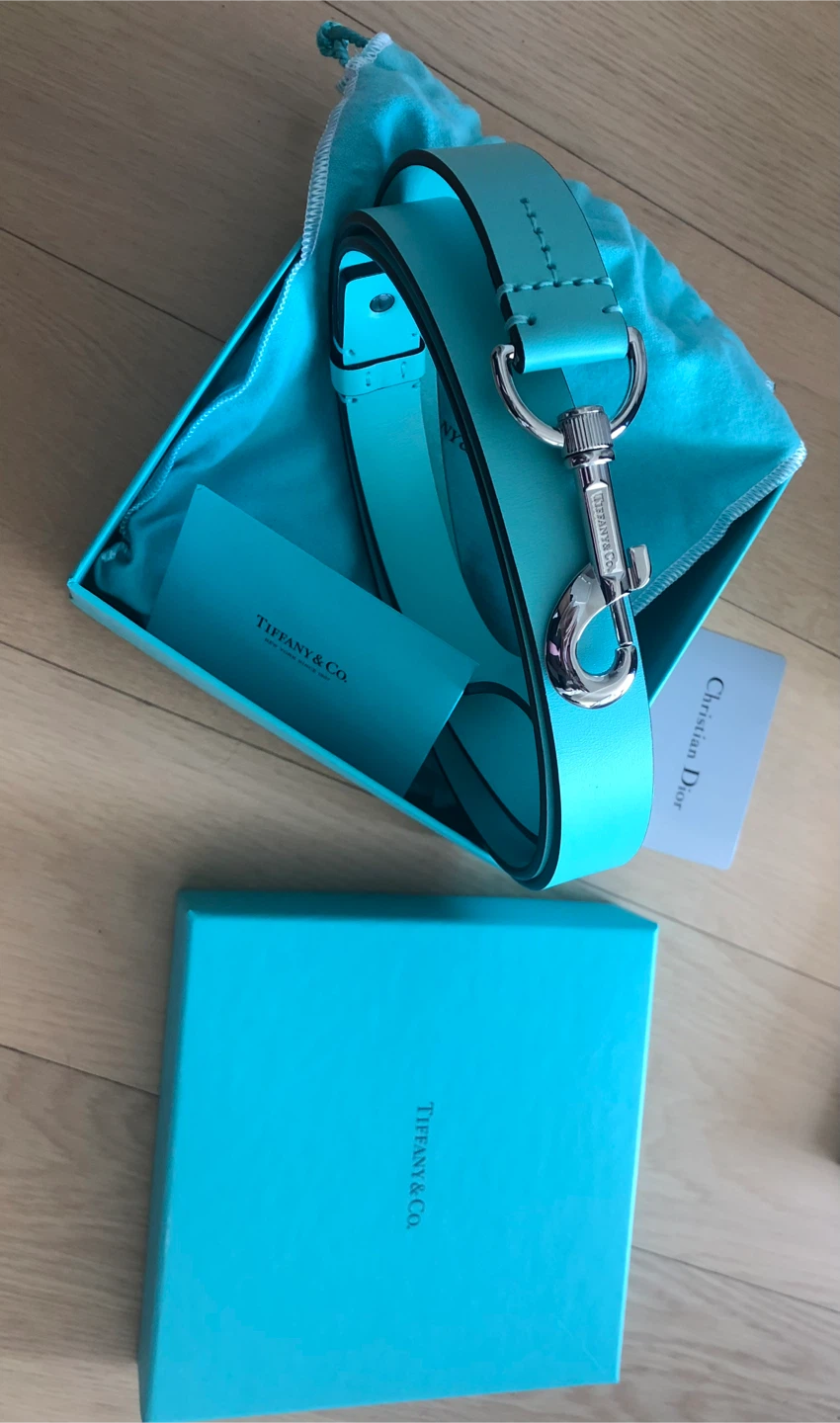 New   Tiffany & Co. Pet Collar Turquoise
