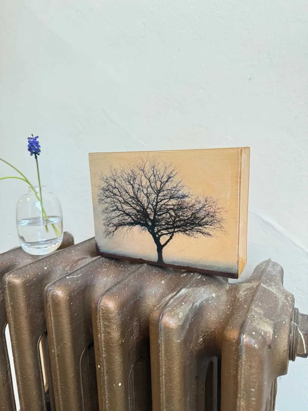 Original Photo Artwork 🖼️ - Cat Mudryk image indicator(3)