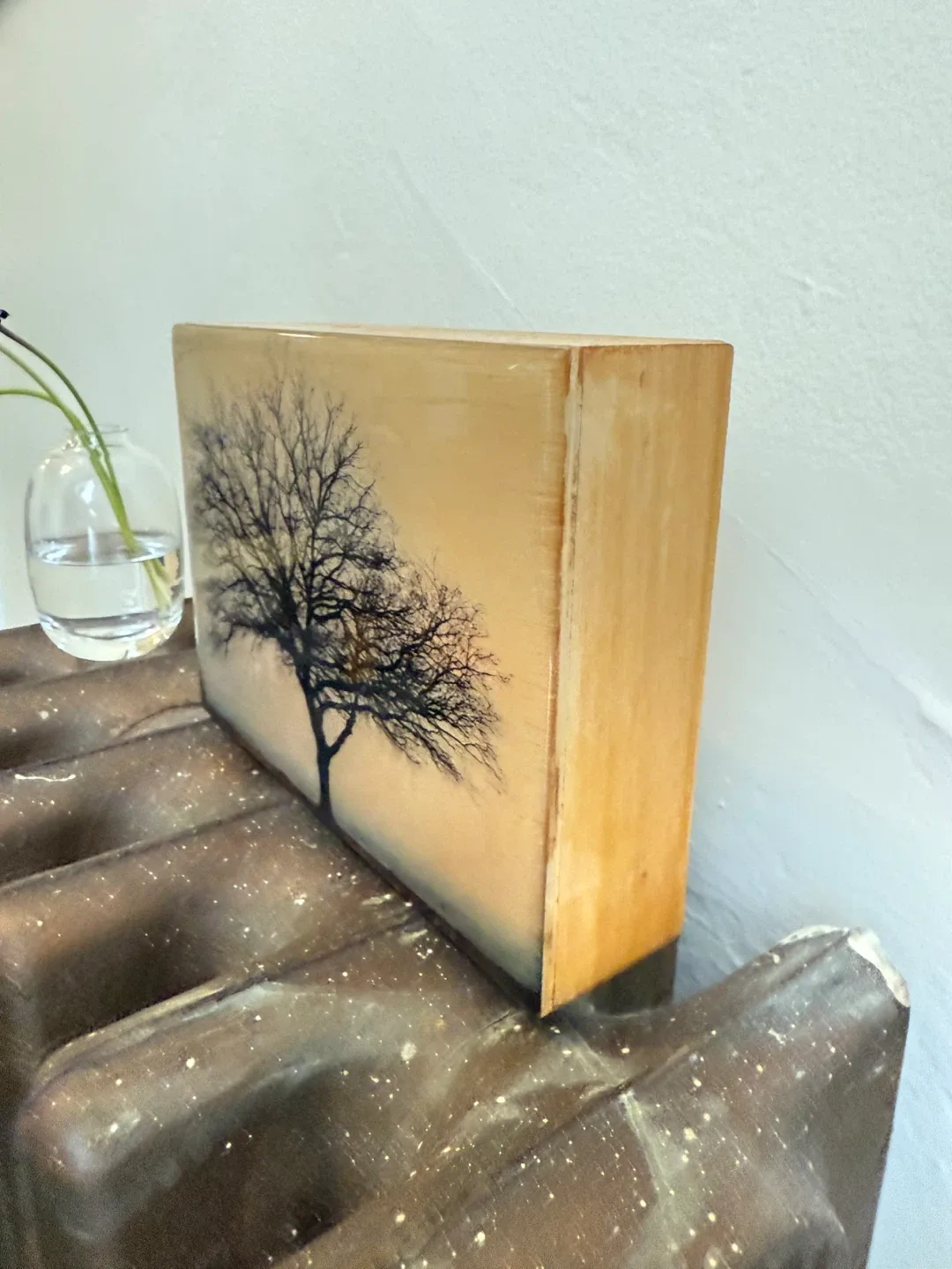 Original Photo Artwork 🖼️ - Cat Mudryk image indicator(4)