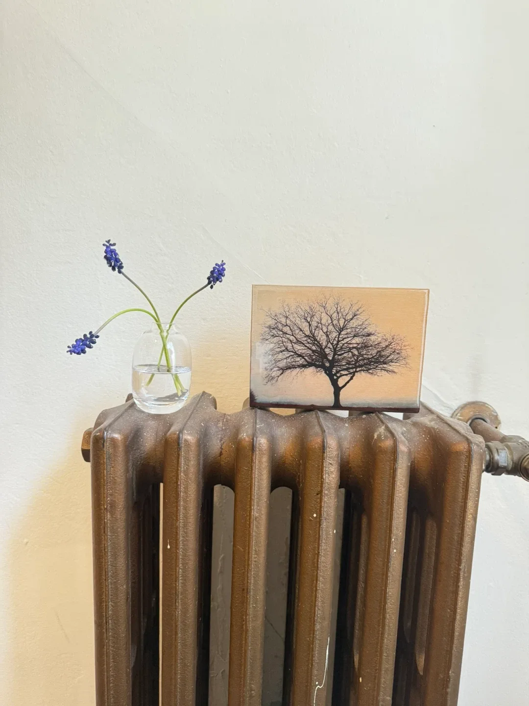 Original Photo Artwork 🖼️ - Cat Mudryk