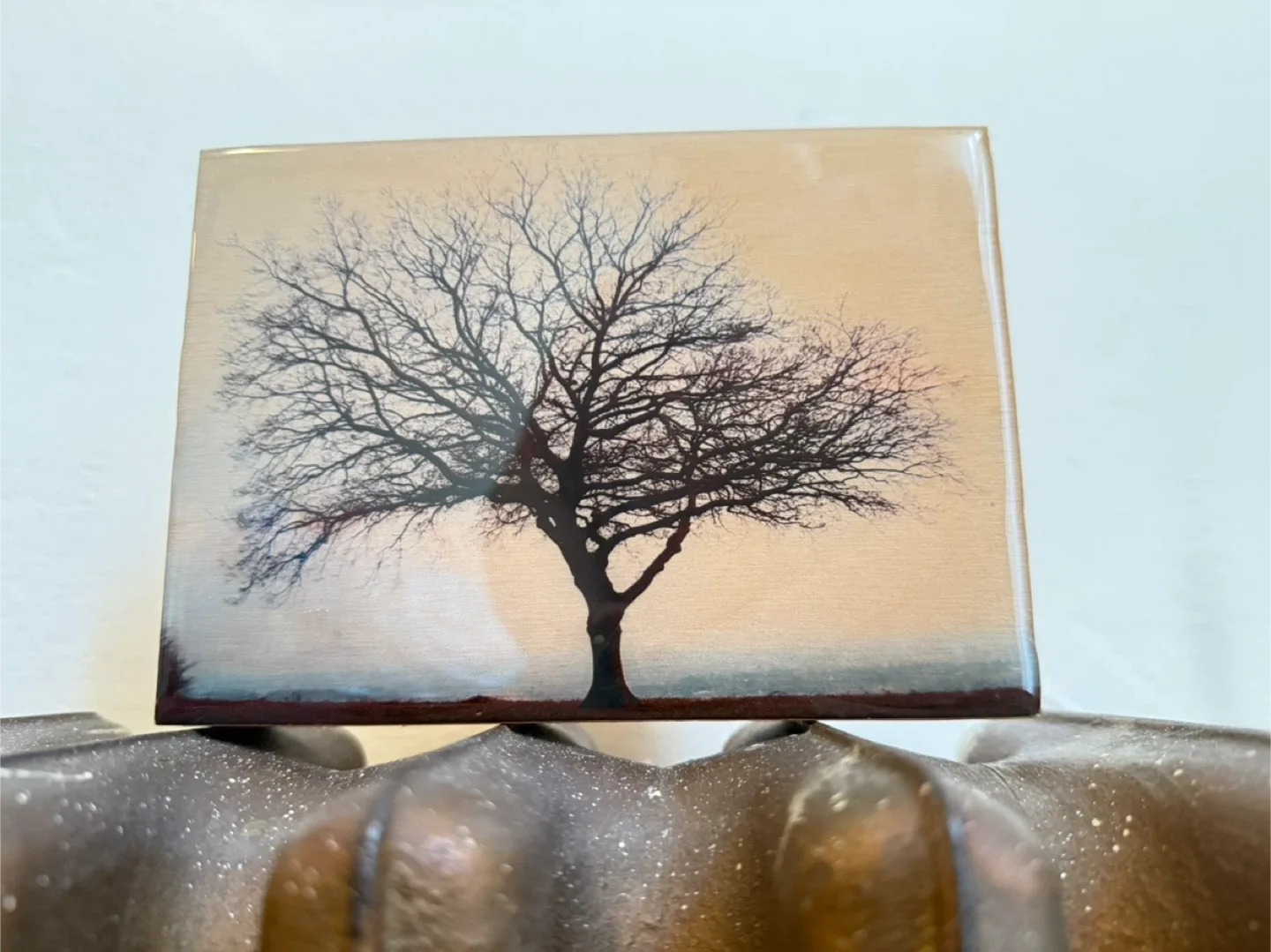 Original Photo Artwork 🖼️ - Cat Mudryk