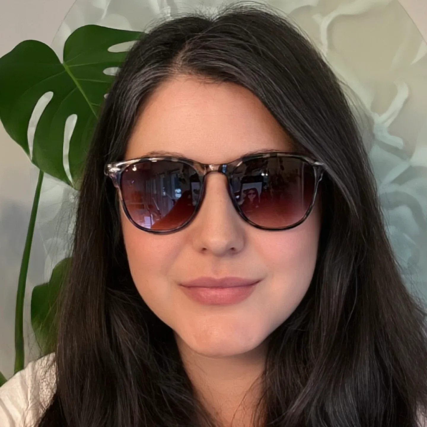 Meet Glasses Brown Tortoiseshell Sunglasses Gradient Lenses (3)