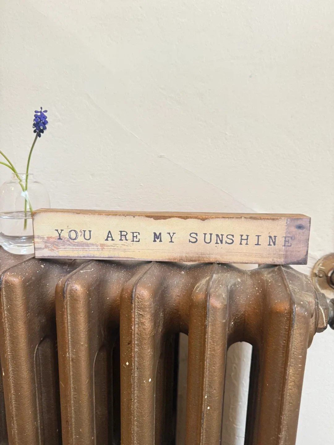 Cedar Mountain Sign - You Are My Sunshine