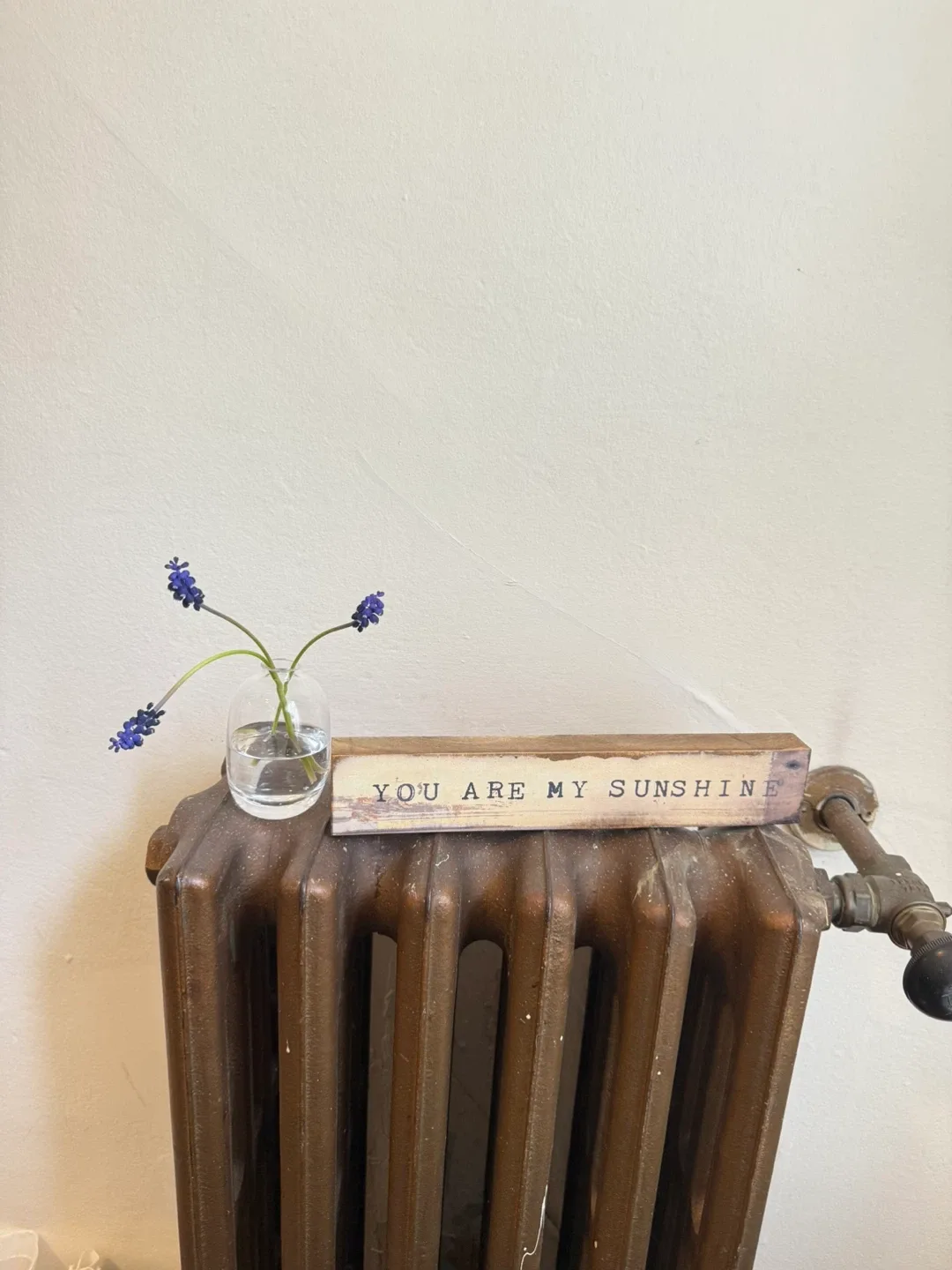 Cedar Mountain Sign - You Are My Sunshine image indicator(2)