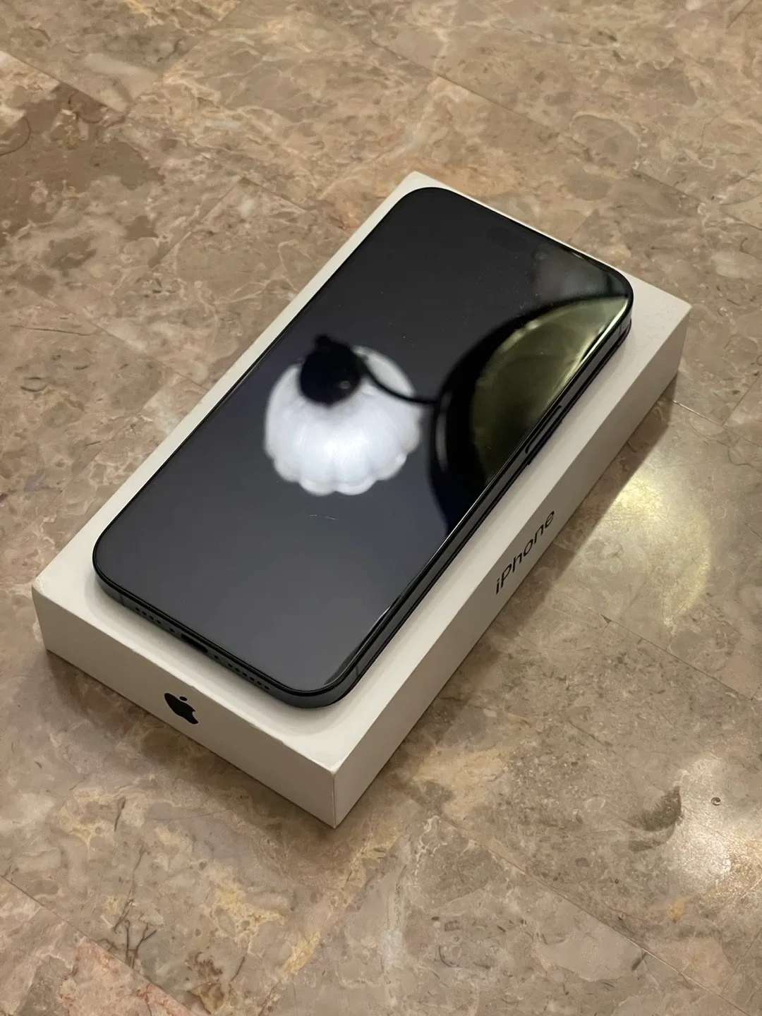 iPhone 15 Pro Max - Blue image indicator(4)