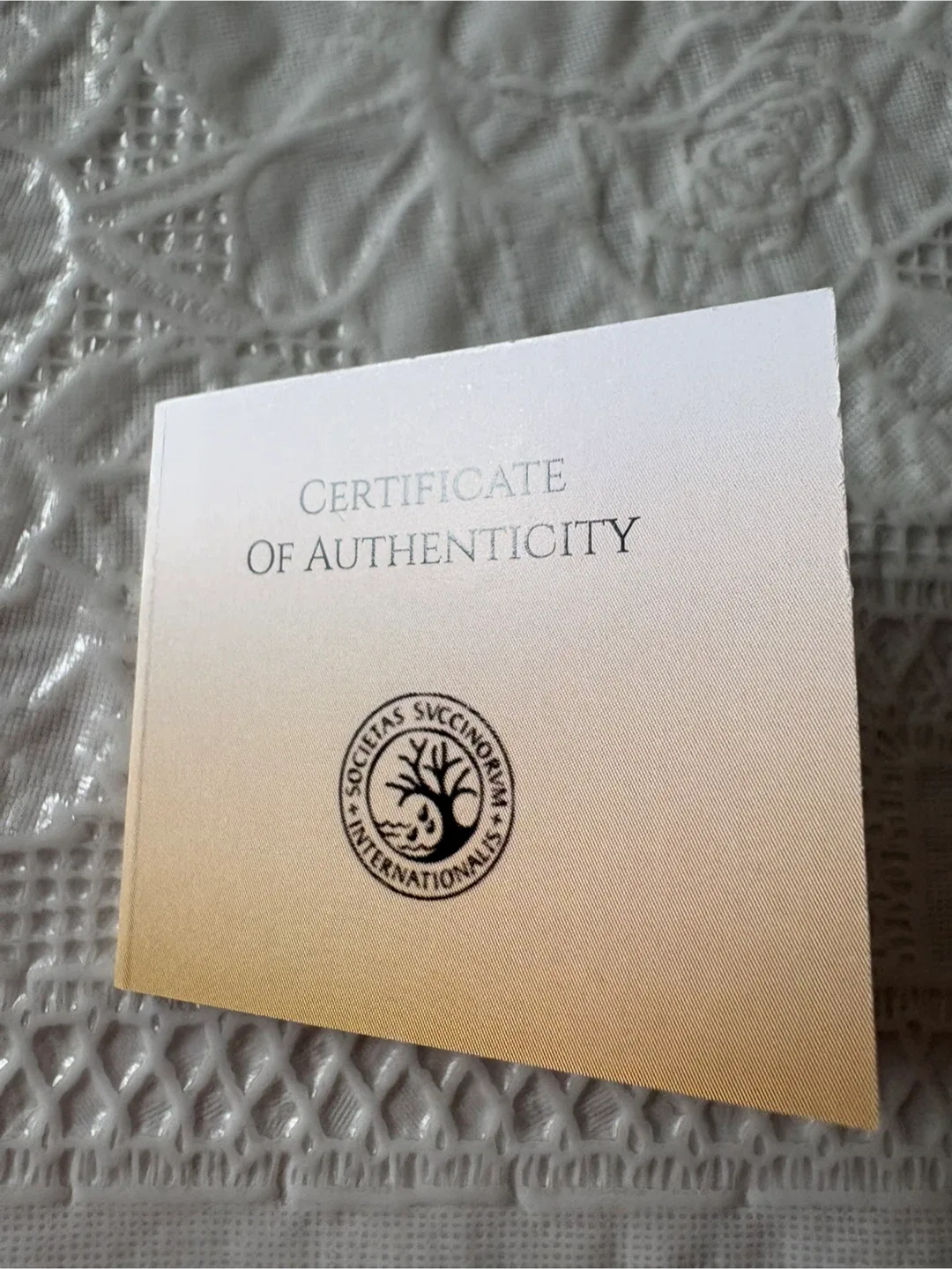 Amber earrings (New) (Authentic)(Giving away for FREE) image indicator(3)