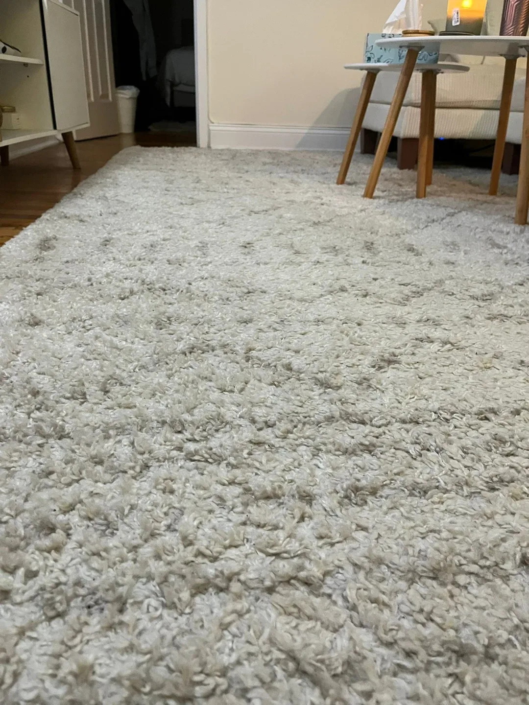 Neutral Area Rug image indicator(4)