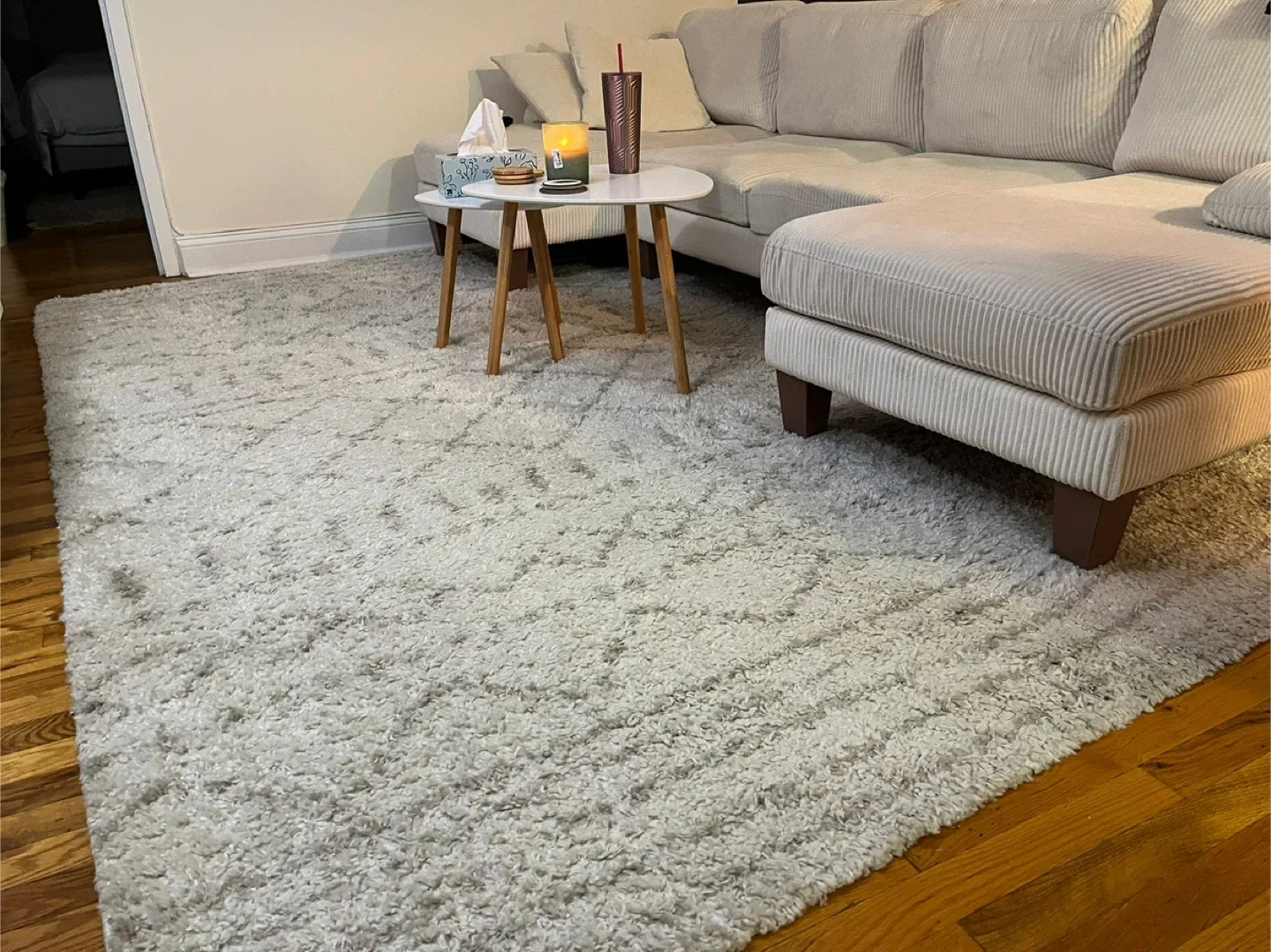 Neutral Area Rug image indicator(3)