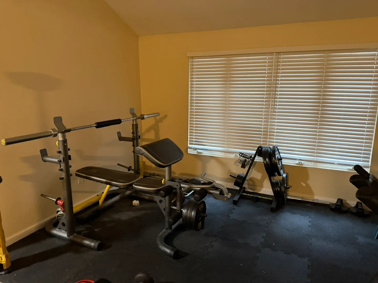 Home Gym Equipment image indicator(3)