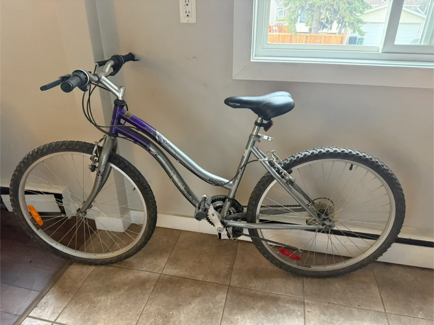 Tech Team Serendipity Bike