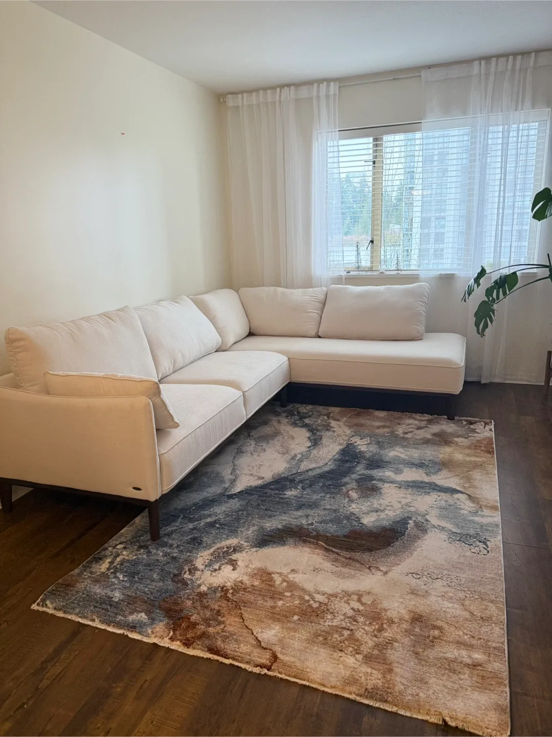 Gorgeous brand new area rug!! image indicator(2)