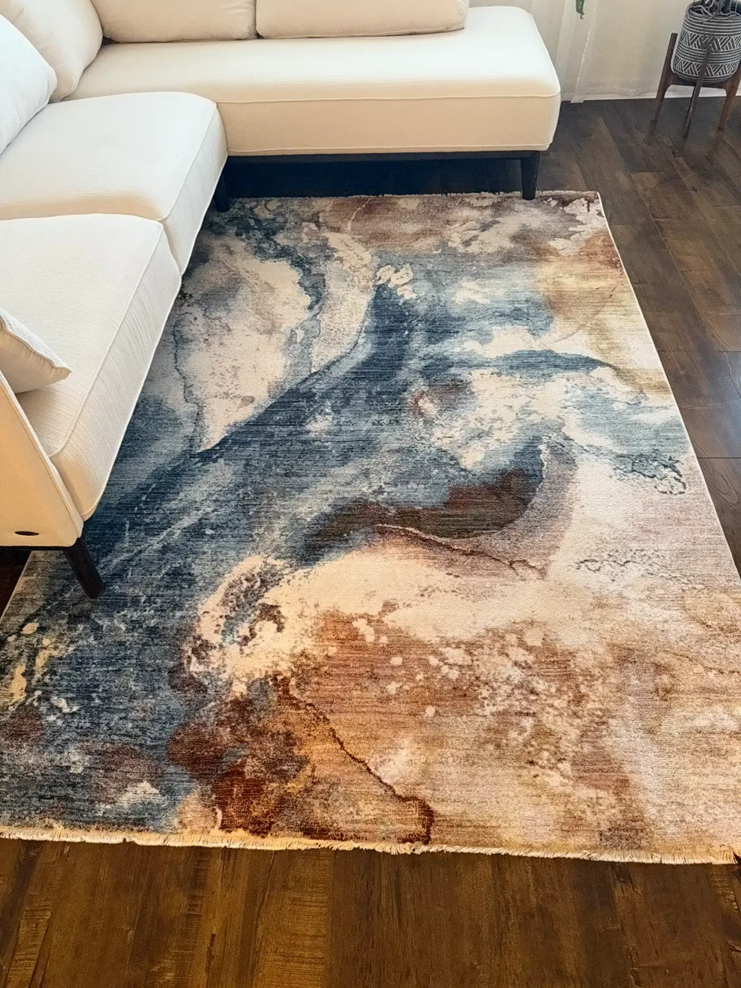 Gorgeous brand new area rug!!