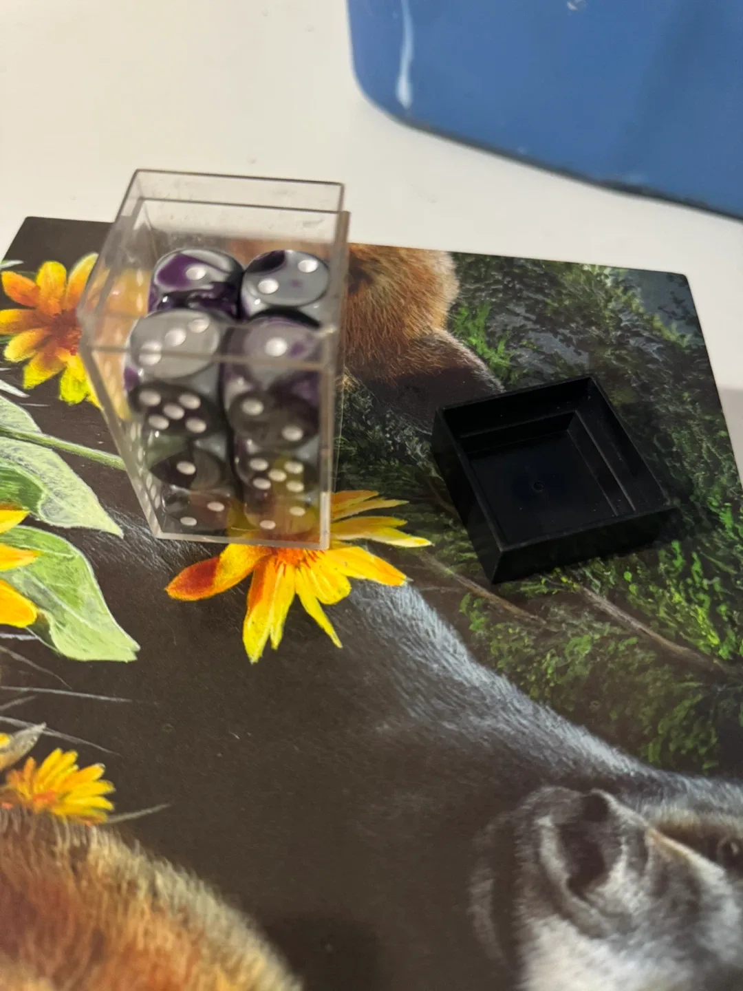 Purple DICE image indicator(3)