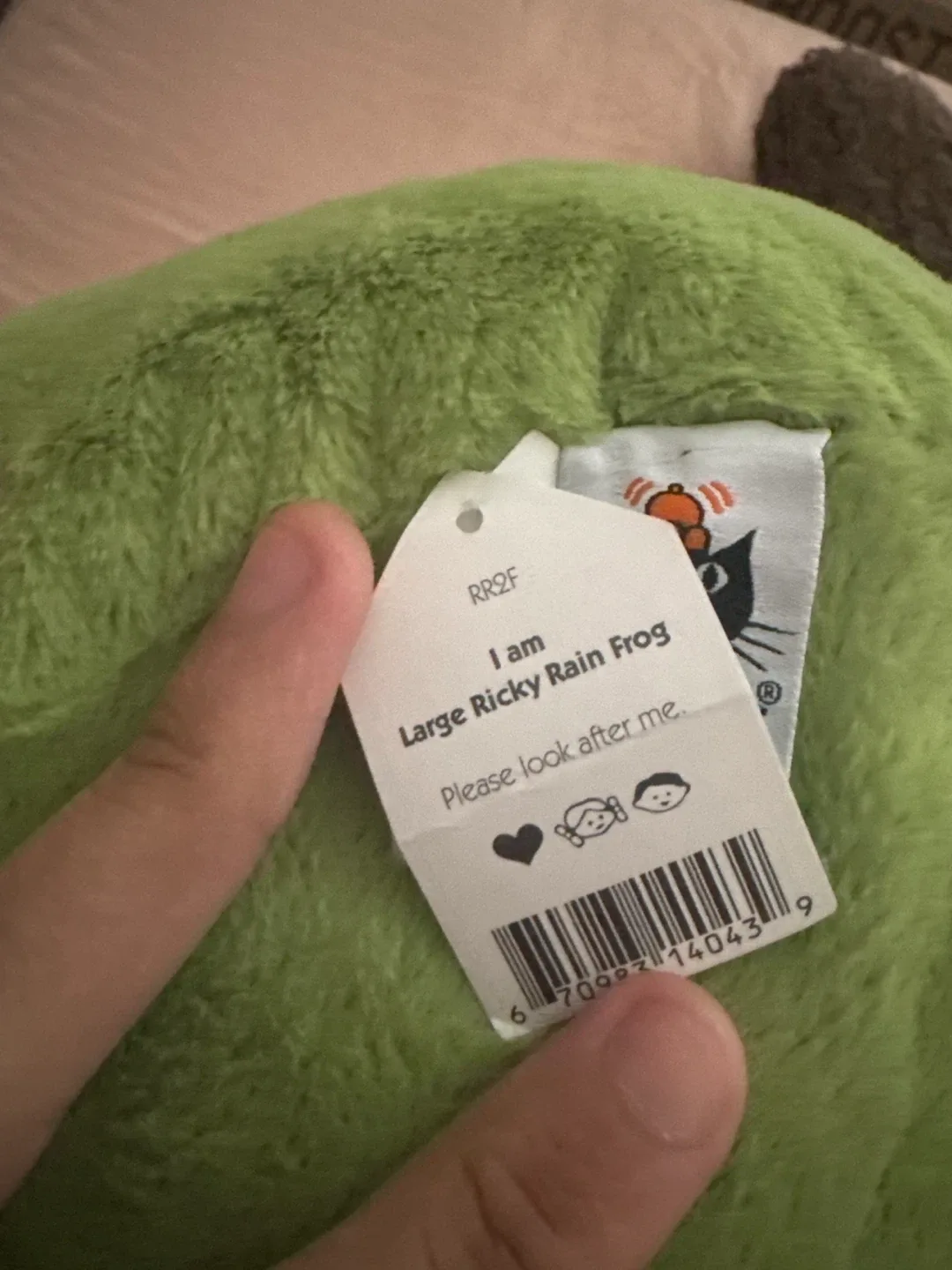 JELLY CAT Large Ricky Rain Frog Plush image indicator(2)